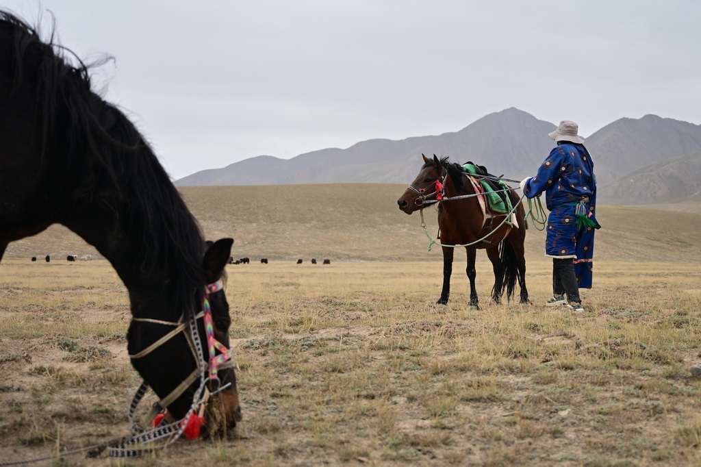 9月9日，在青海省海西蒙古族藏族自治州都兰县，一名牧民在转场途中。