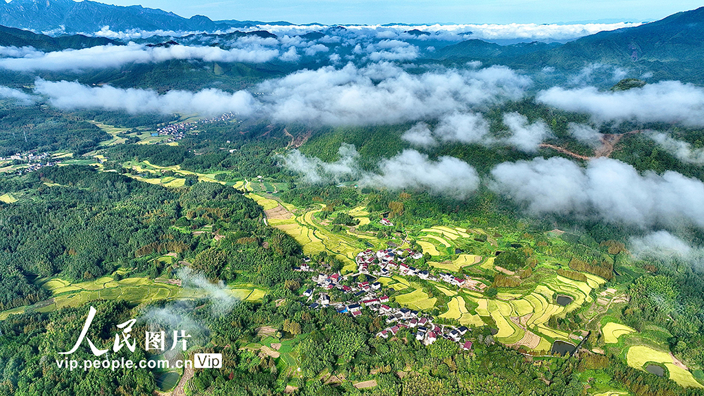 安徽宣城：秋日田园美如画【2】