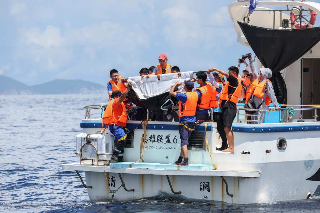 9月14日，在海南万宁一处海域，救助人员准备放归海豚“万万”。