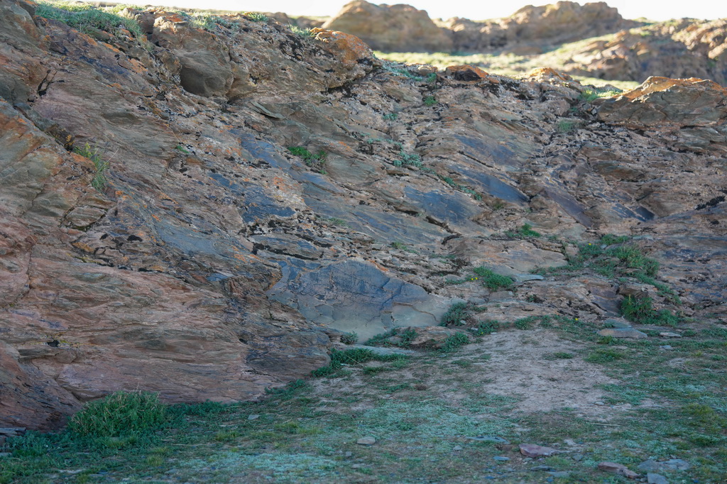 7月25日拍摄的“尕日塘秦刻石”。新华社记者 杜笑微 摄