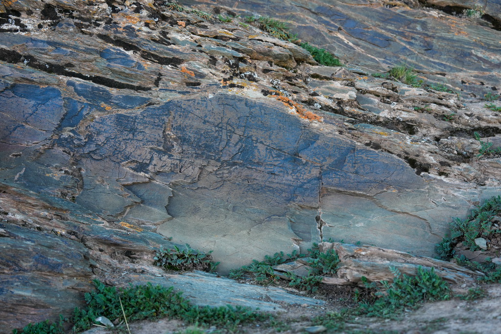  7月25日拍摄的“尕日塘秦刻石”。新华社记者 杜笑微 摄