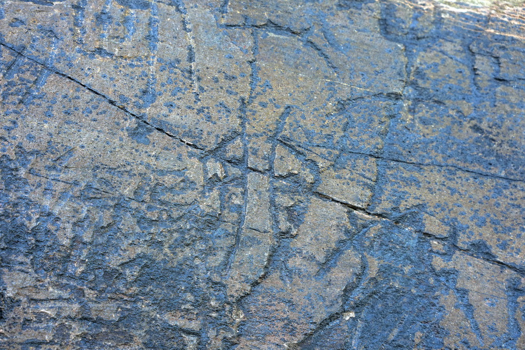 7月25日拍摄的“尕日塘秦刻石”。新华社记者 杜笑微 摄