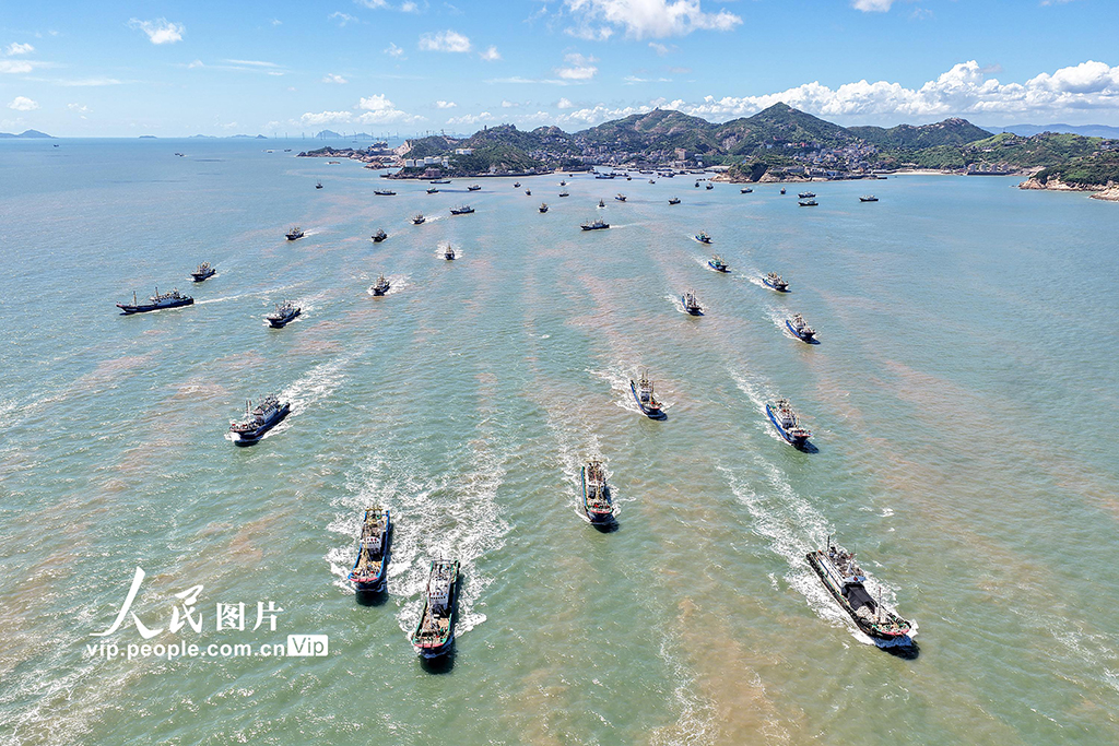 浙江台州：东海告别伏休全面开捕【4】