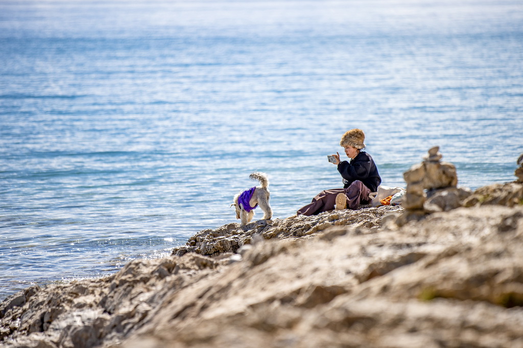游客带着宠物狗在纳木错湖边拍照（9月16日摄）。