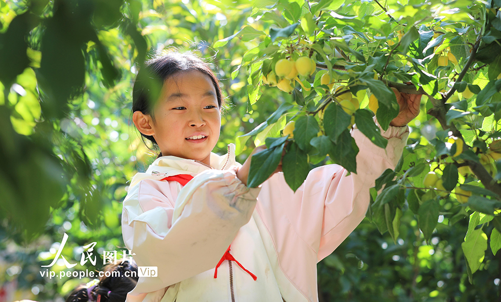 甘肃民乐：校园“丰收节”【3】