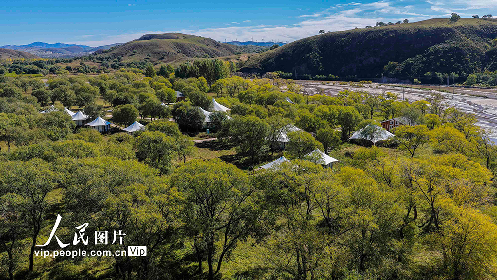 河北丰宁：坝上秋日如画【3】