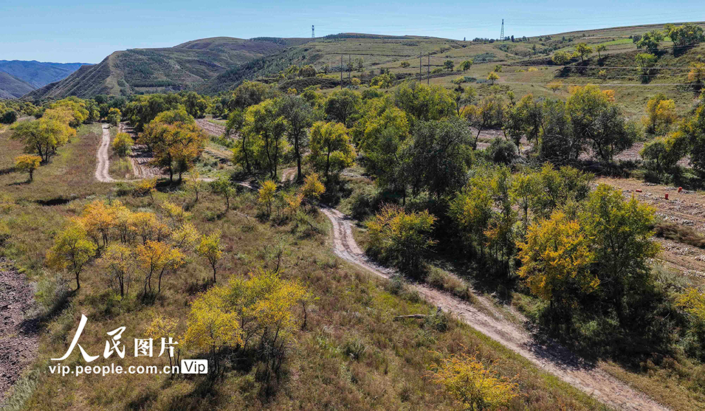 河北丰宁：坝上秋日如画【4】