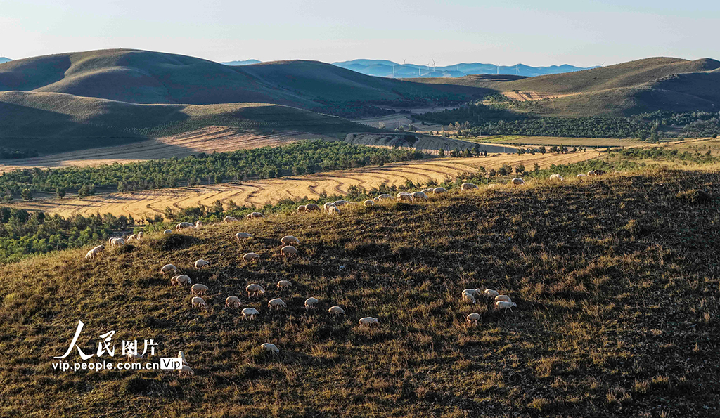 河北丰宁：坝上秋日如画【7】