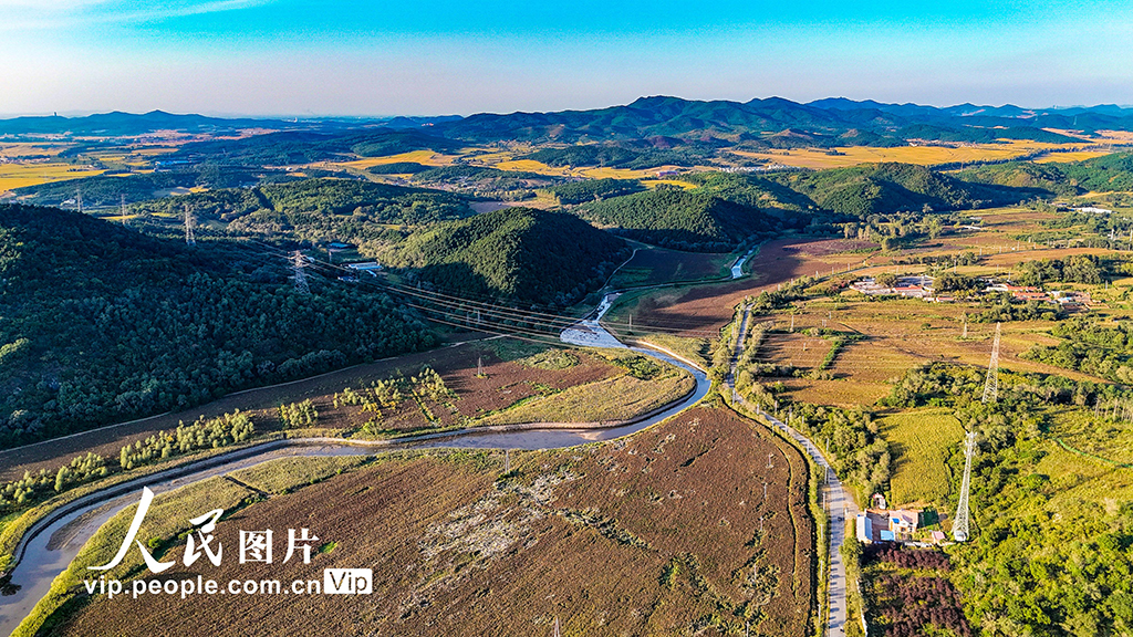 辽宁沈阳：高粱丰收在望【3】