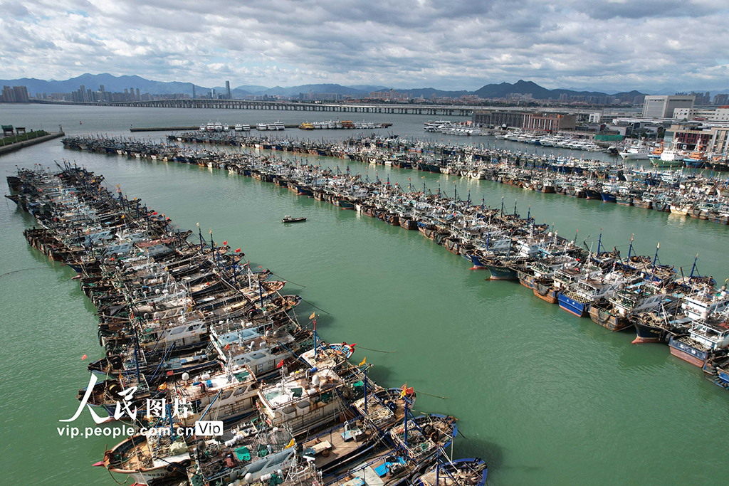 福建厦门：渔船进港人员上岸 应对台风“桦加沙”【4】