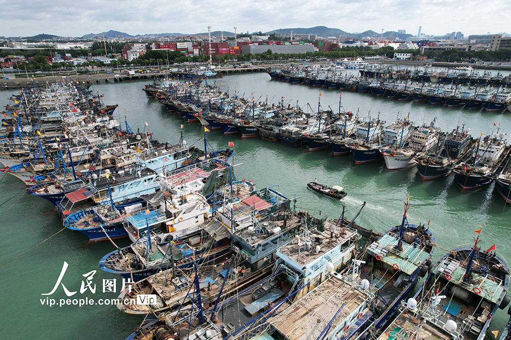 福建厦门：渔船进港人员上岸 应对台风“桦加沙”【5】