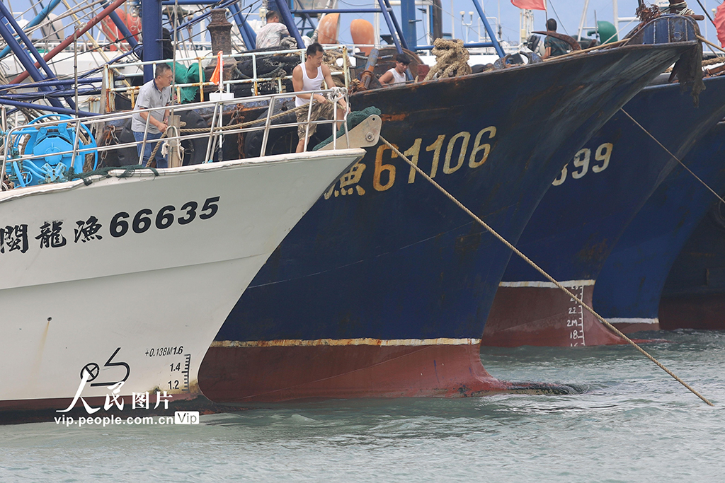 福建厦门：渔船进港人员上岸 应对台风“桦加沙”【6】