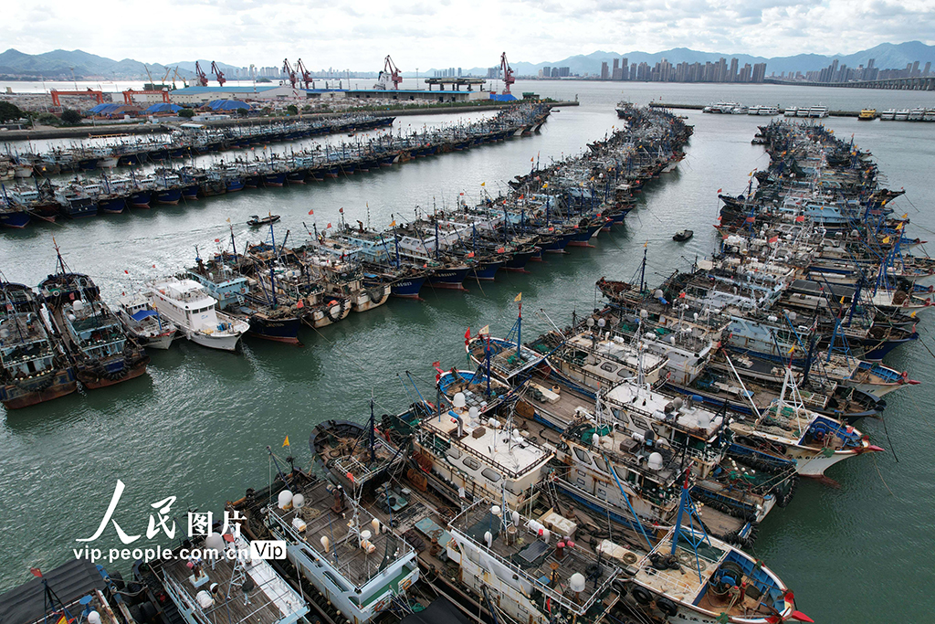 福建厦门：渔船进港人员上岸 应对台风“桦加沙”【7】
