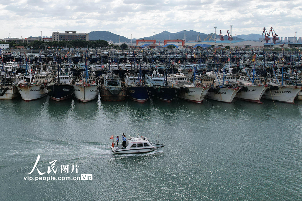 福建厦门：渔船进港人员上岸 应对台风“桦加沙”【8】