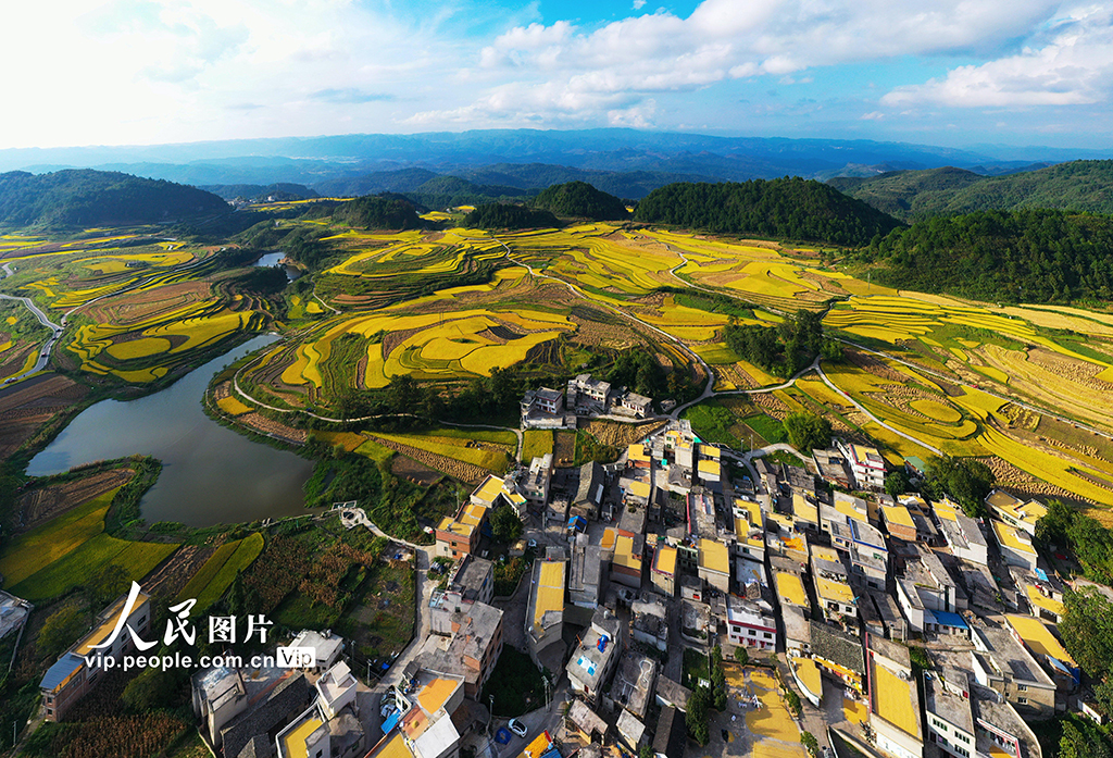 贵州龙里：梯田“鎏金” 【2】