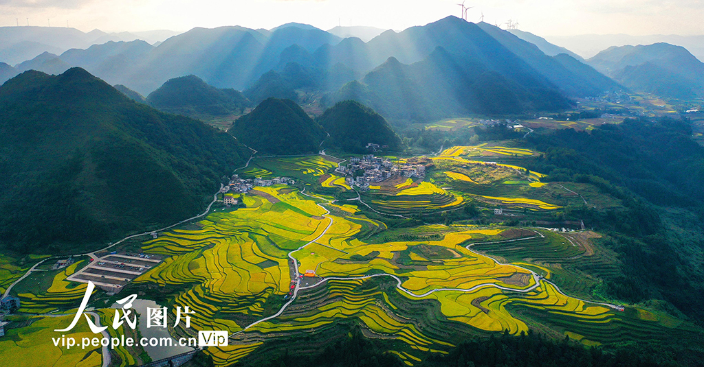 贵州龙里：梯田“鎏金” 【8】