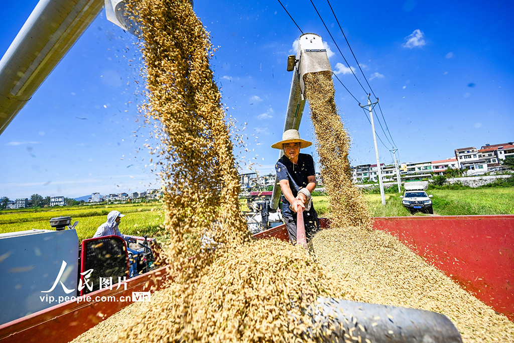 湖北英山：秋分时节好“丰”景【7】