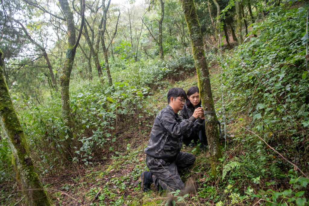 9月23日，工作人员李新（左）、王泳鳗在安装红外相机。