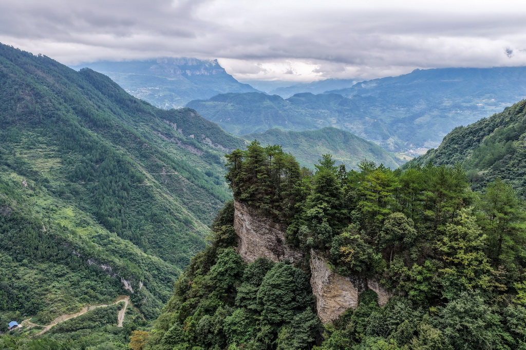 9月23日拍摄的位于金佛山深处的银杉群落监测样地（无人机照片）。