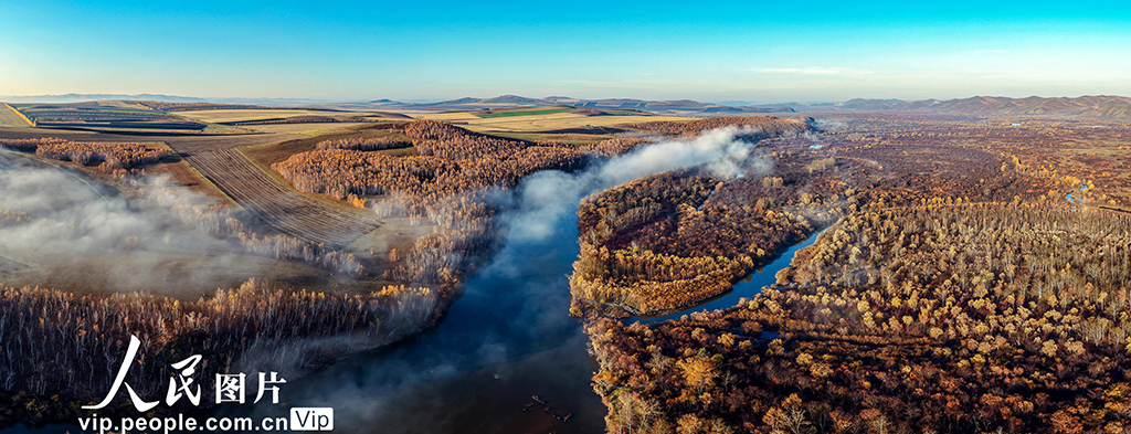 内蒙古呼伦贝尔：额尔古纳湿地层林尽染【3】