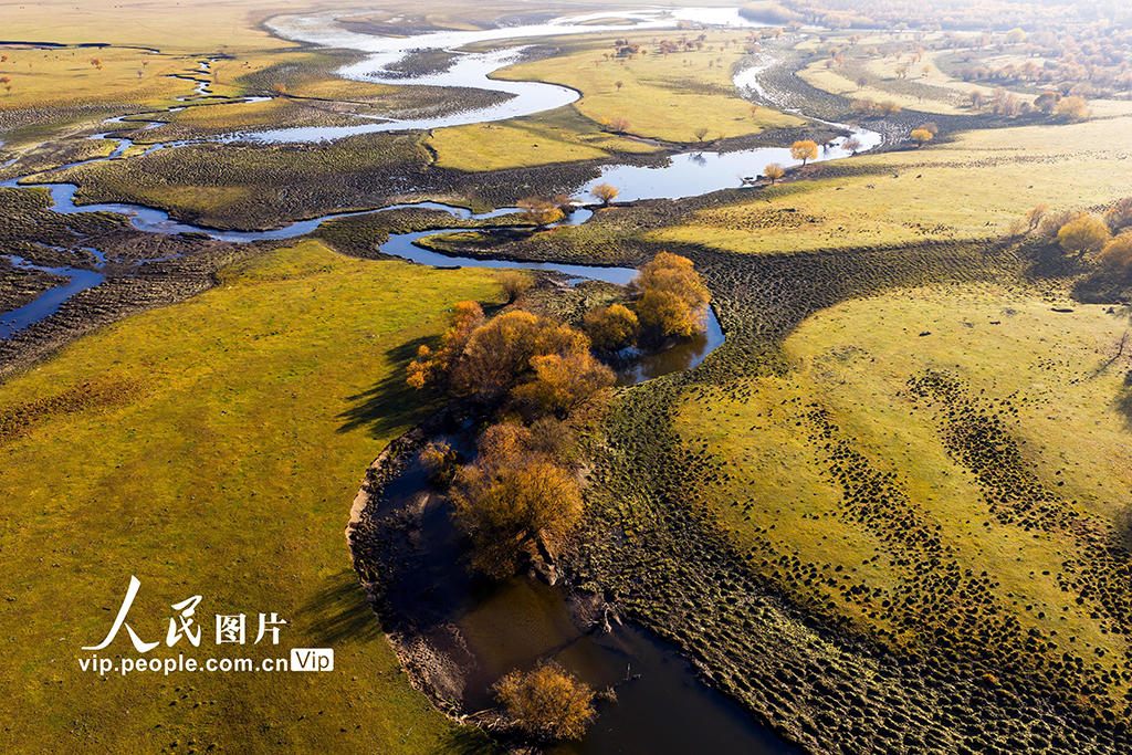 内蒙古呼伦贝尔：额尔古纳湿地层林尽染【5】