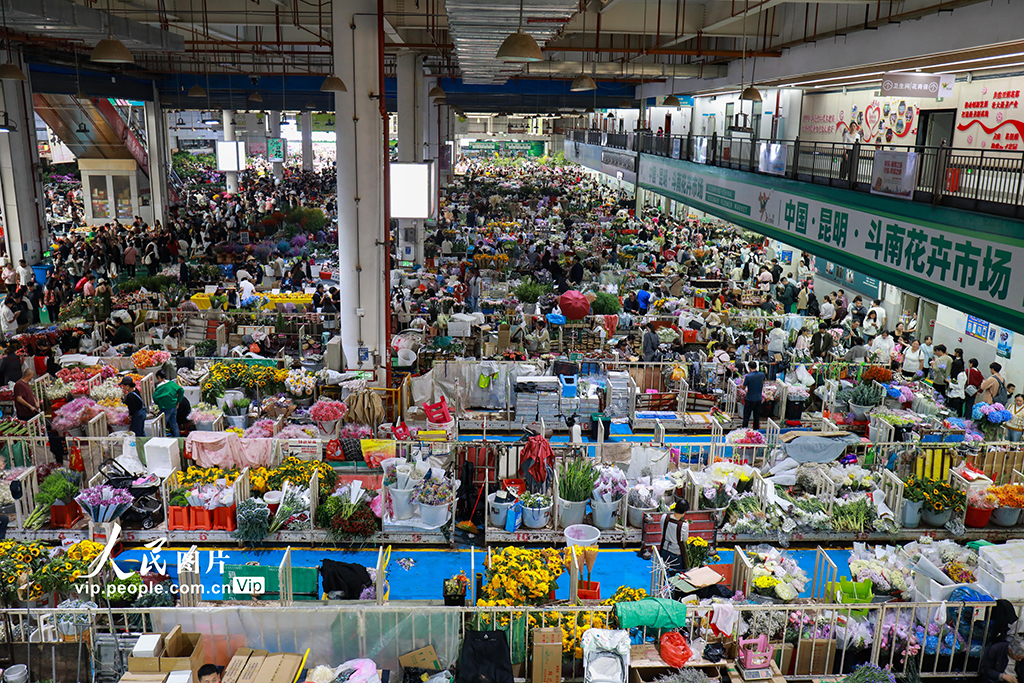 云南昆明：假期花市人气旺【4】