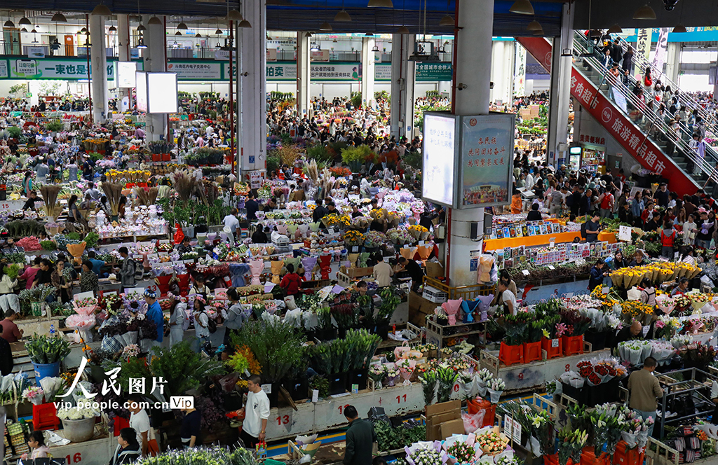 云南昆明：假期花市人气旺【5】