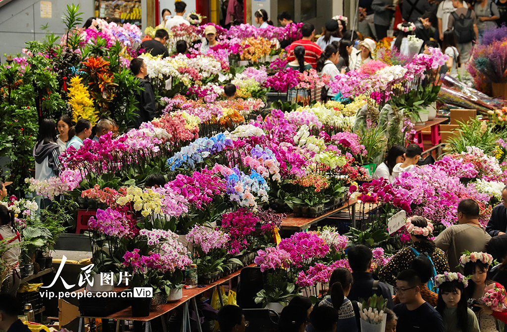 云南昆明：假期花市人气旺【8】