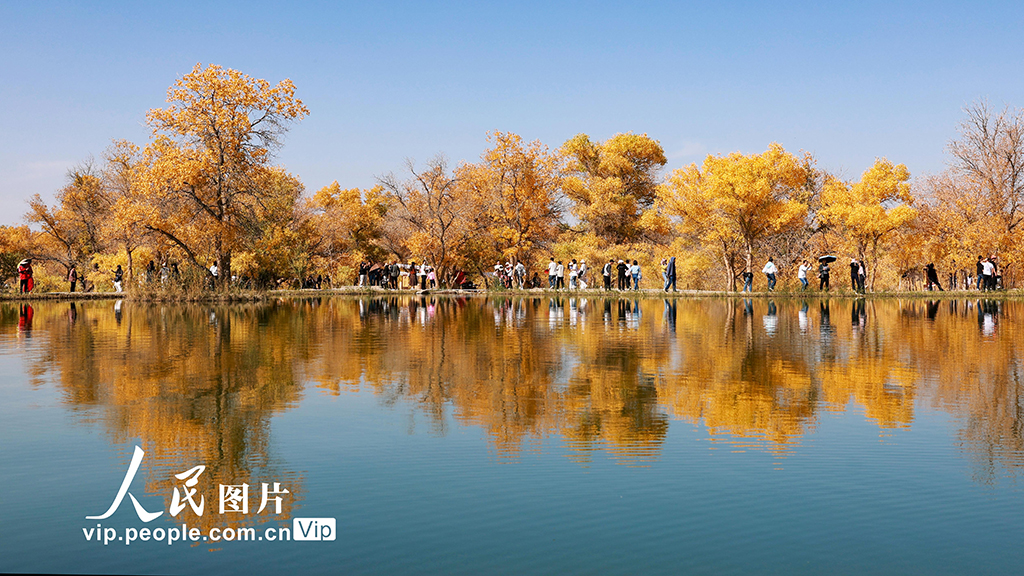 10月2日，甘肃省酒泉市金塔沙漠胡杨林景区的万亩生态胡杨林层林尽染，吸引游客前来游览观光。曹红祖摄（人民图片网）