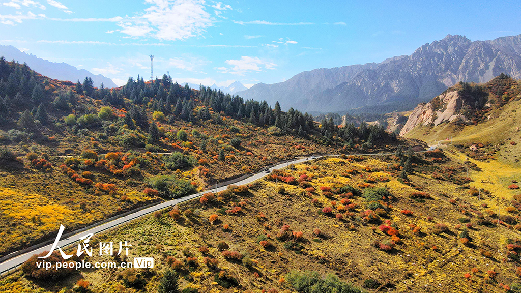 甘肃张掖：马蹄寺秋色迷人【4】