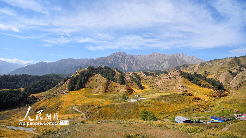 甘肃张掖：马蹄寺秋色迷人【6】