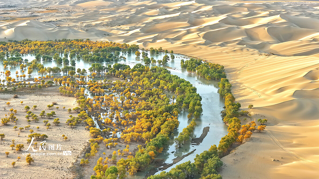 新疆尉犁：秋色如画【3】
