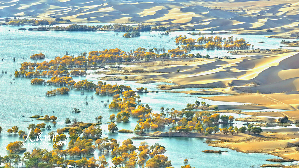 新疆尉犁：秋色如画【5】