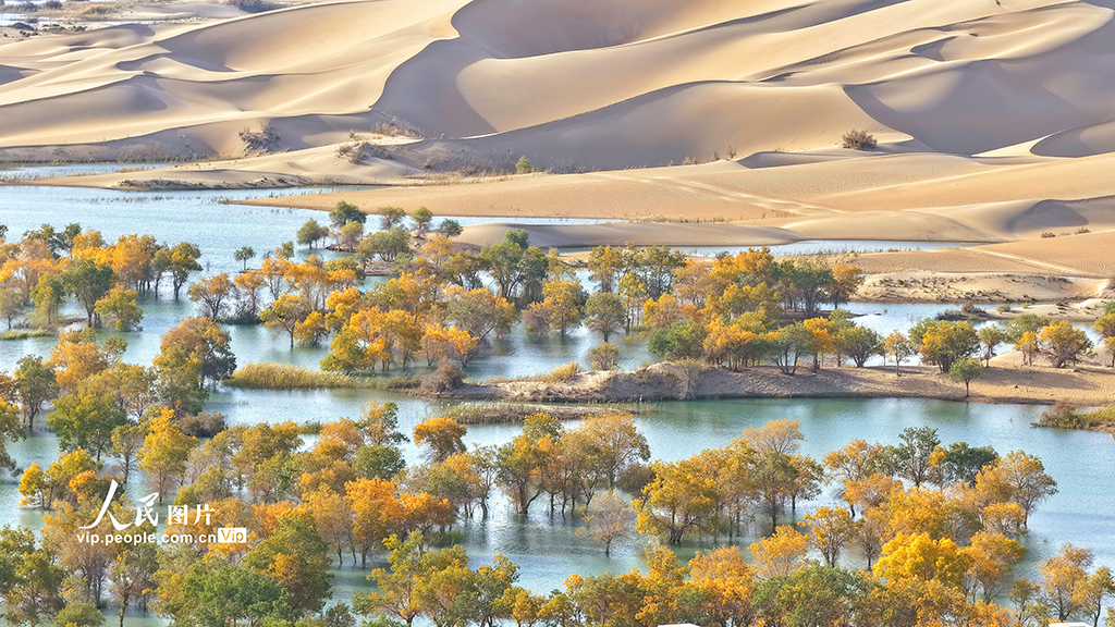 新疆尉犁：秋色如画【6】