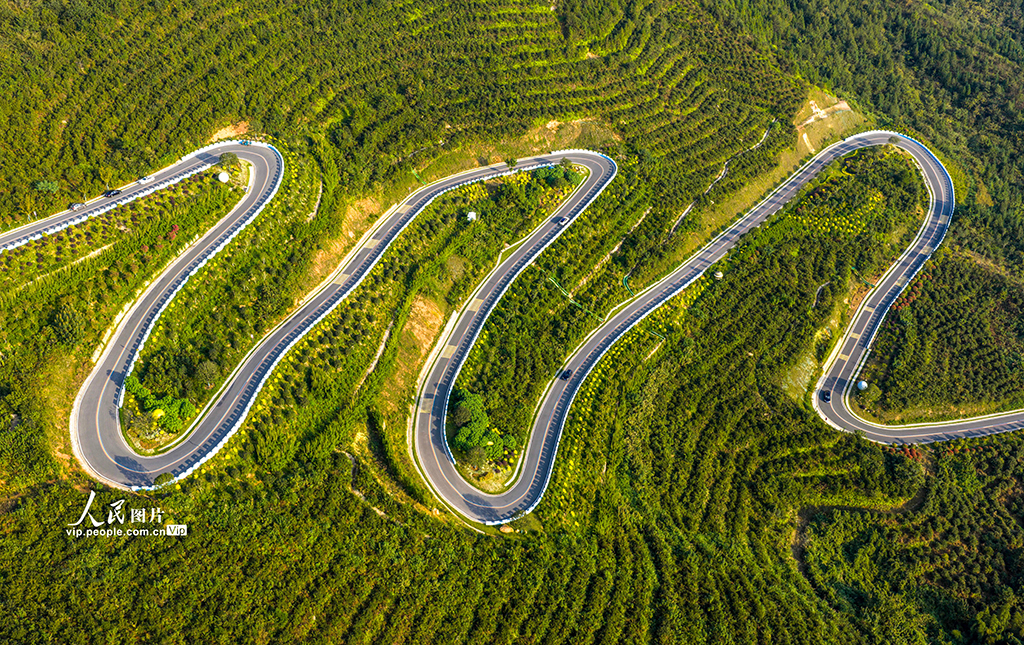 安徽庐江：山路弯弯助力乡村振兴【2】