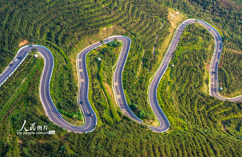 安徽庐江：山路弯弯助力乡村振兴【4】