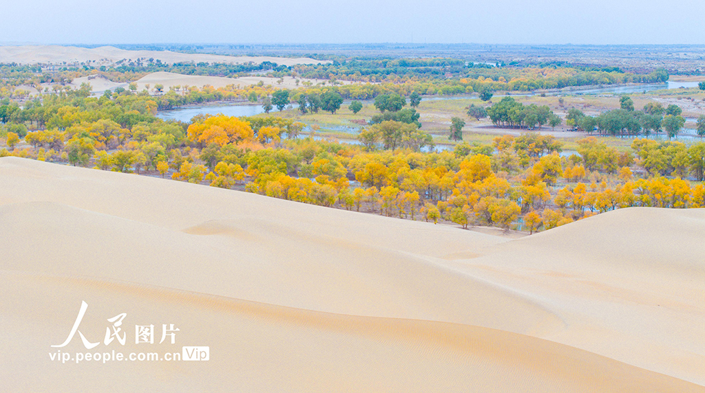 新疆尉犁：人在画中游【8】