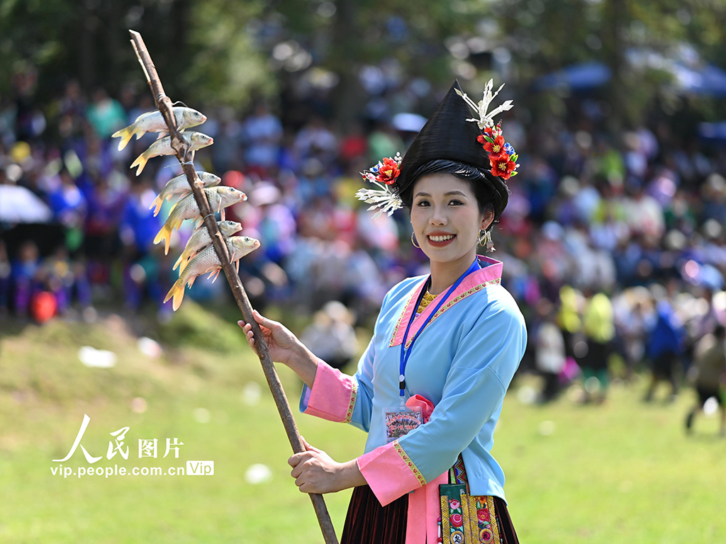 广西融水：传统“烧鱼节”庆丰收【2】