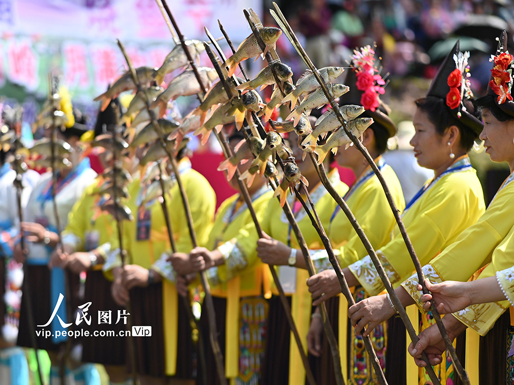 广西融水：传统“烧鱼节”庆丰收【3】