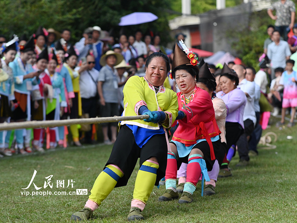 广西融水：传统“烧鱼节”庆丰收【7】