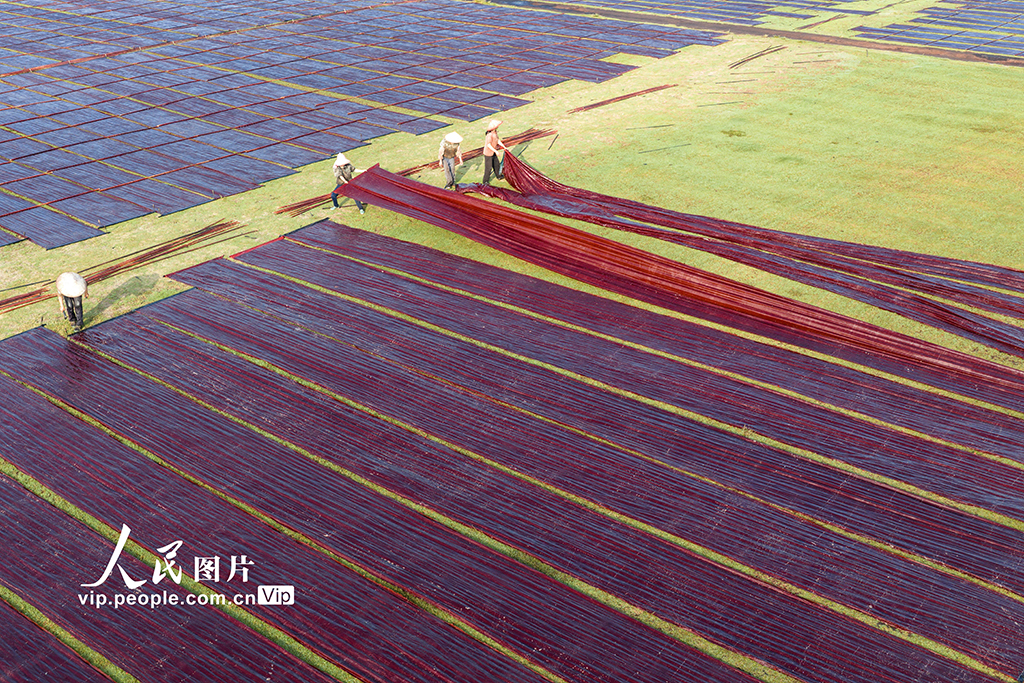 广西蒙山：晾晒香云纱【2】