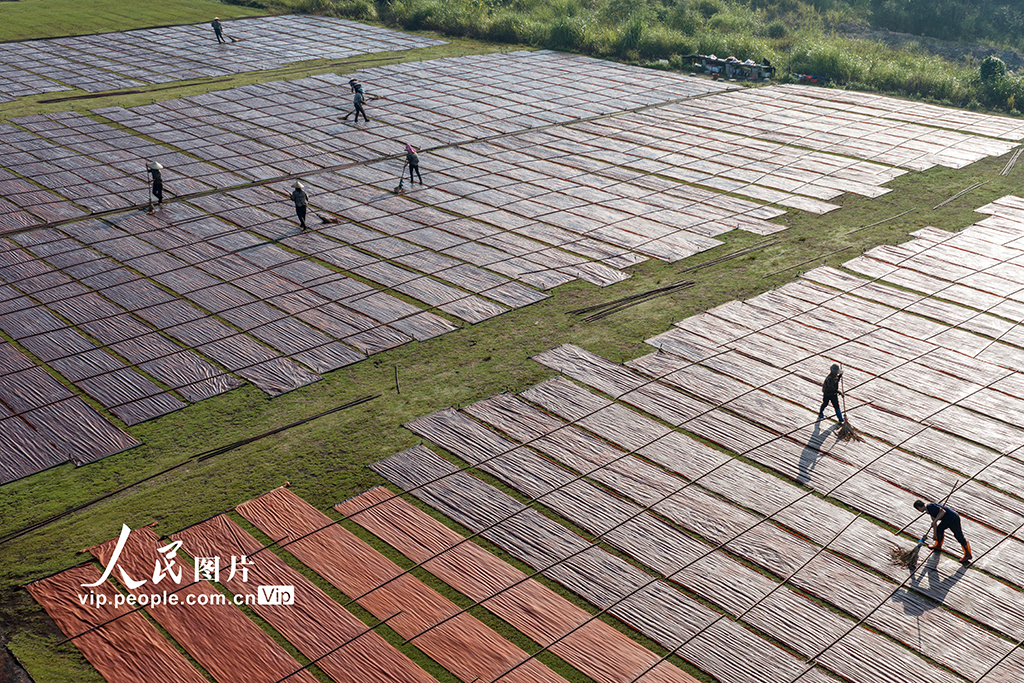 广西蒙山：晾晒香云纱【5】