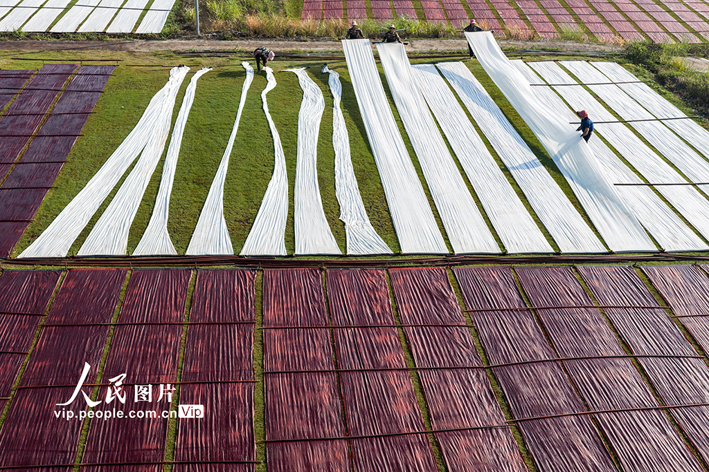 广西蒙山：晾晒香云纱【7】