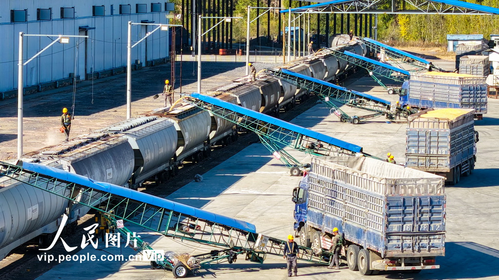 黑龙江省开行首趟粮食集港图定直达货运班列【3】