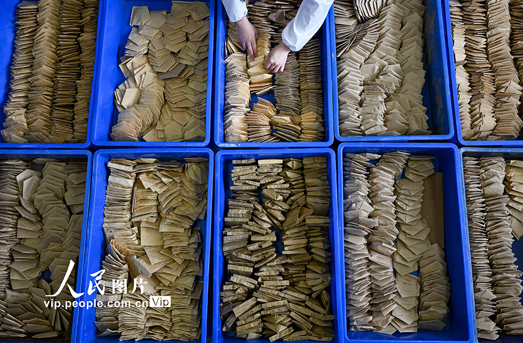 科研人员正在筛选种子。