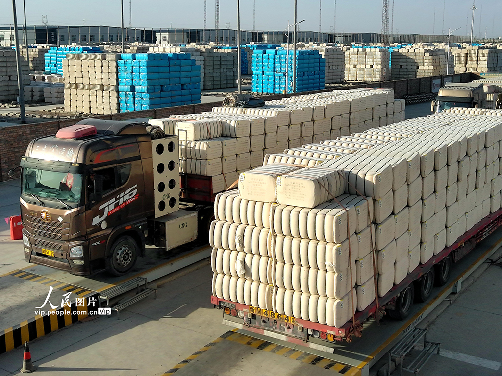 新疆阿拉尔：新棉入库【2】