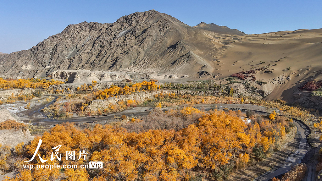 胡杨峡景区秋景如画【3】