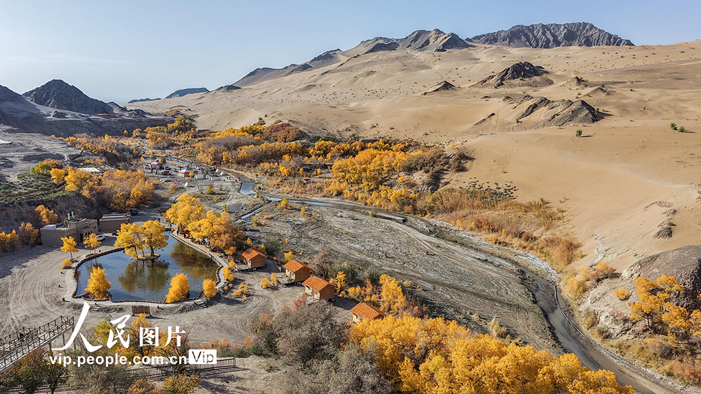 胡杨峡景区秋景如画【4】
