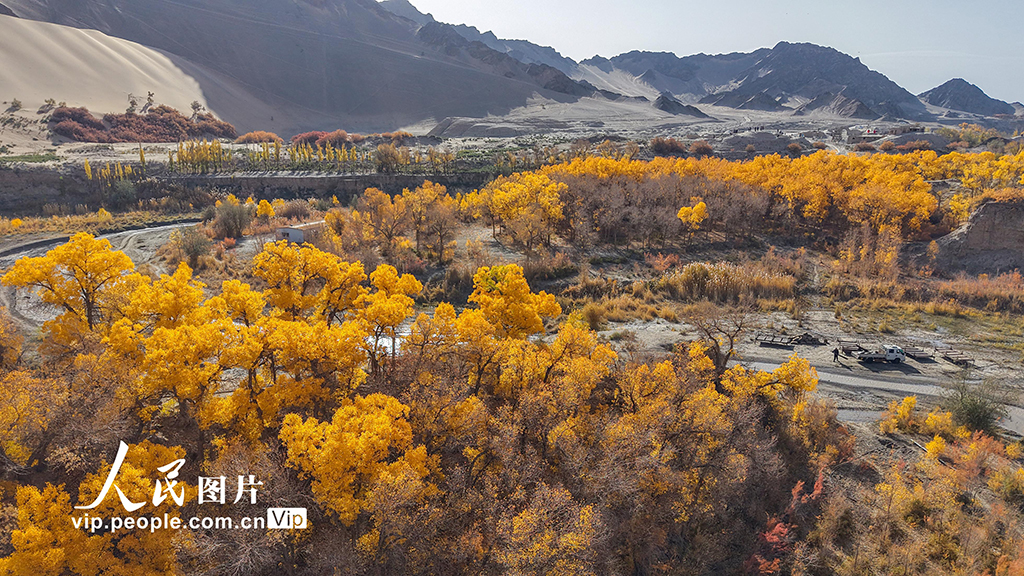 胡杨峡景区秋景如画【2】