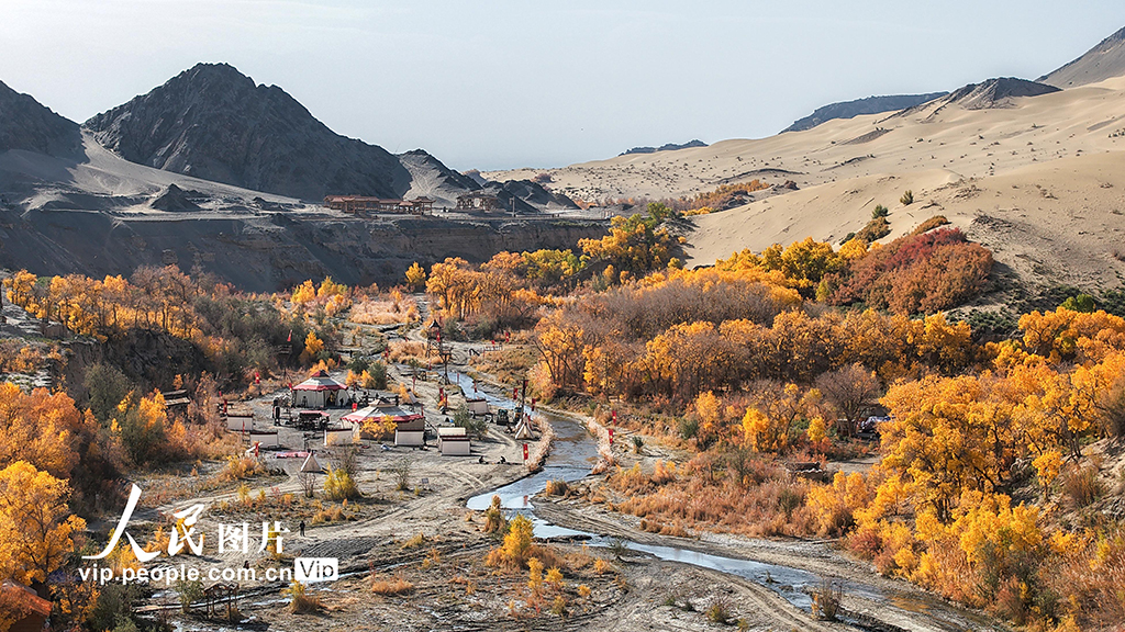 胡杨峡景区秋景如画【5】